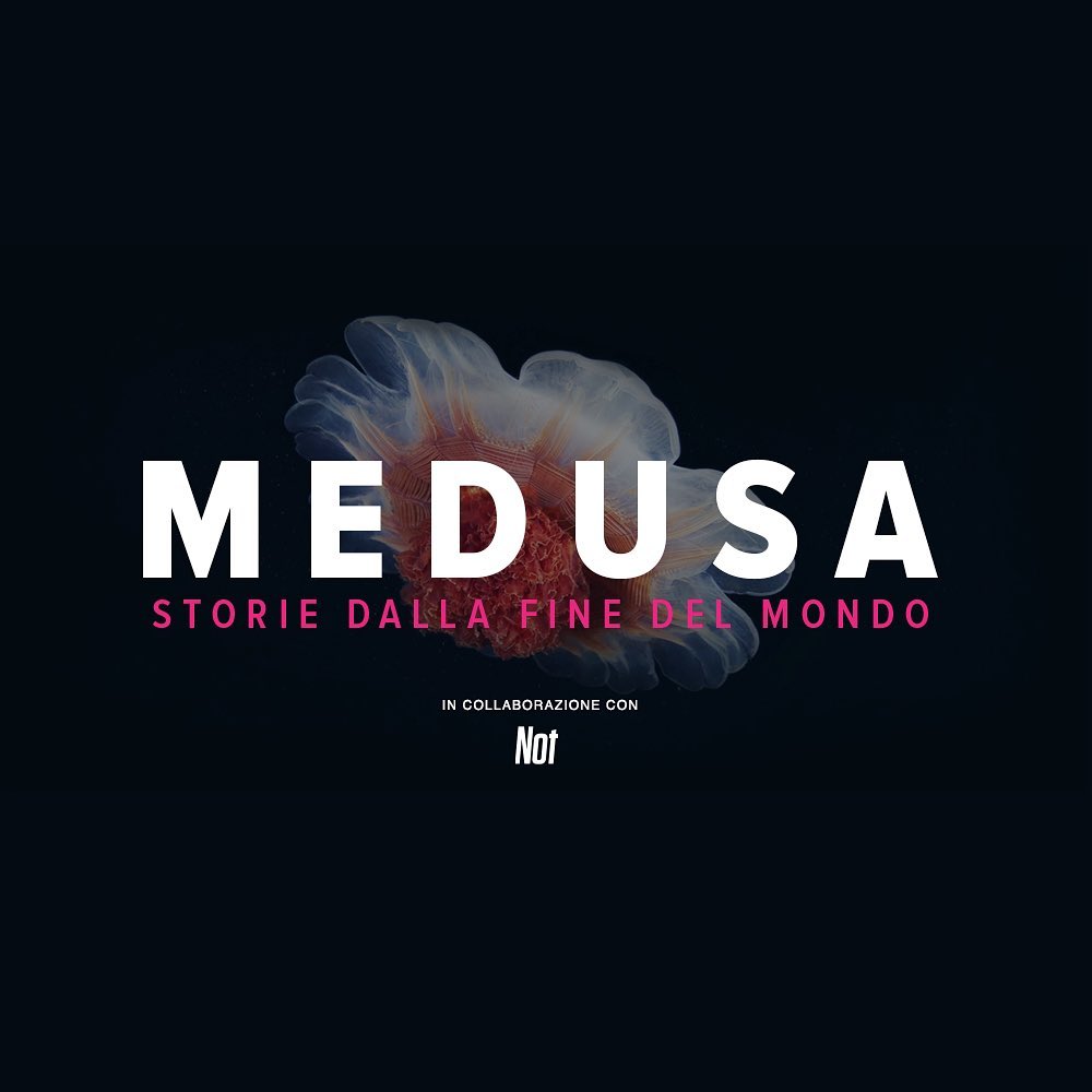 newsletter Medusa